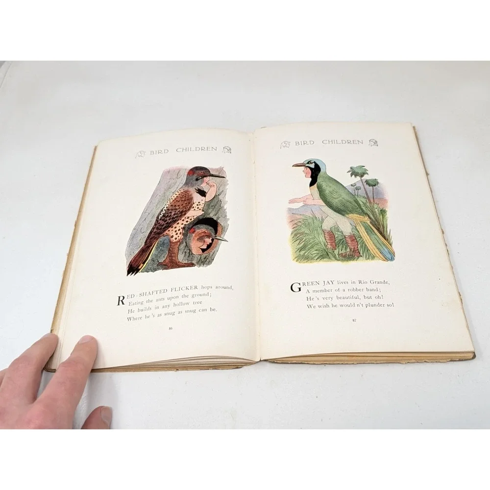 Bird Children By Elizabeth Gordon Antique 1912 Book MT Ross HC‎ 9th edition VTG